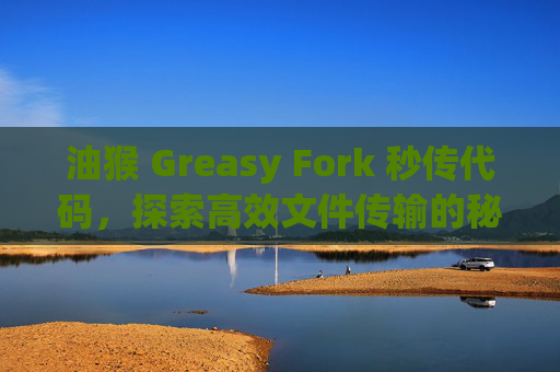 油猴 Greasy Fork 秒传代码，探索高效文件传输的秘密
